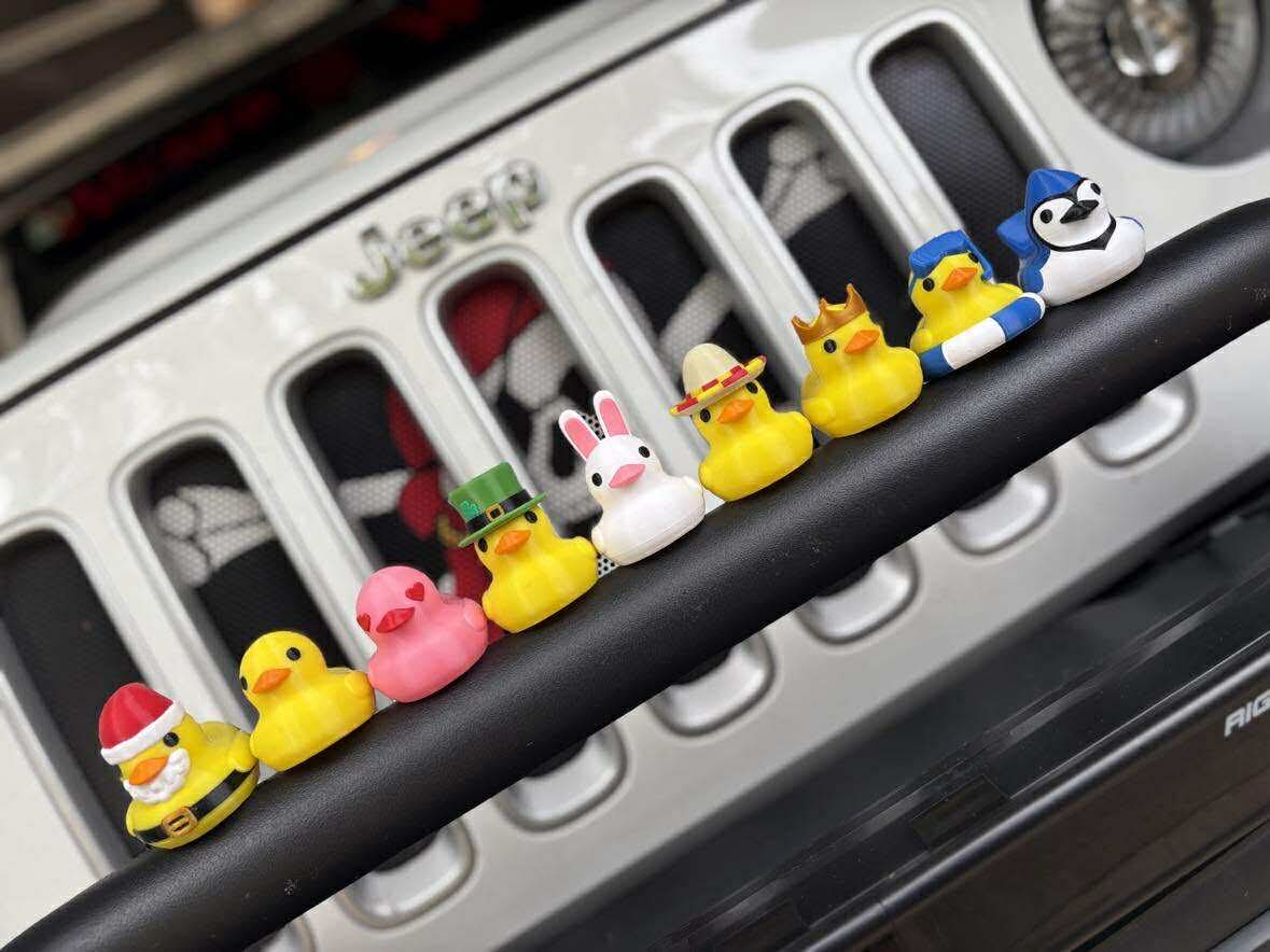 DUCKSCRIPTION