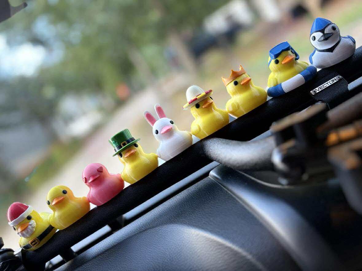 DUCKSCRIPTION