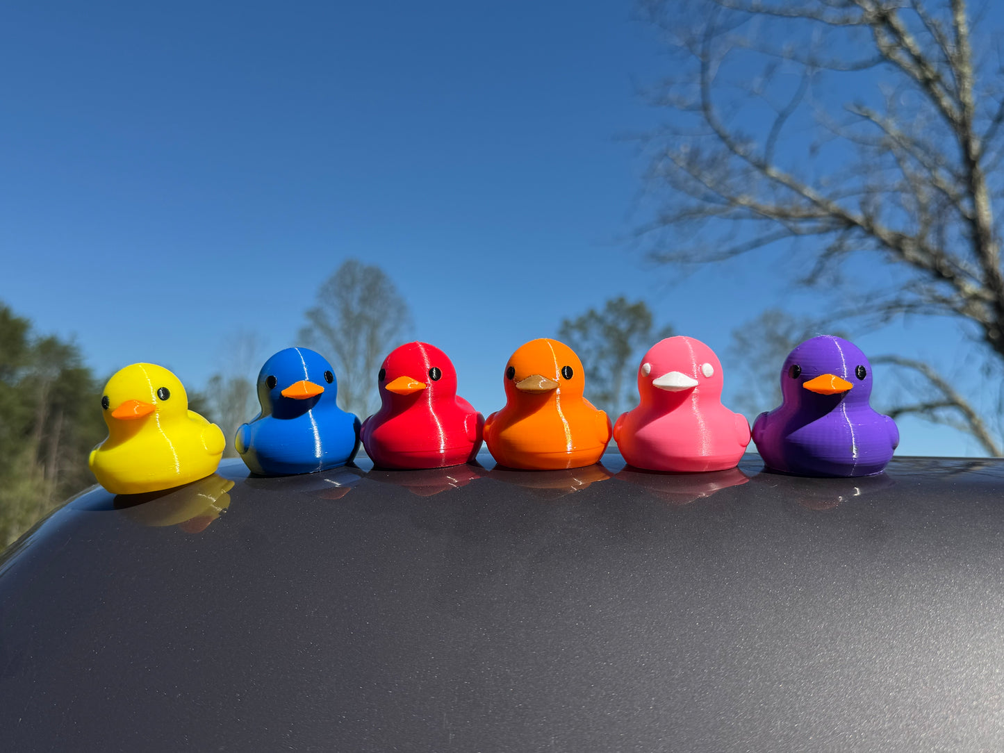 Quacknetics Packs of Magnetic Ducks