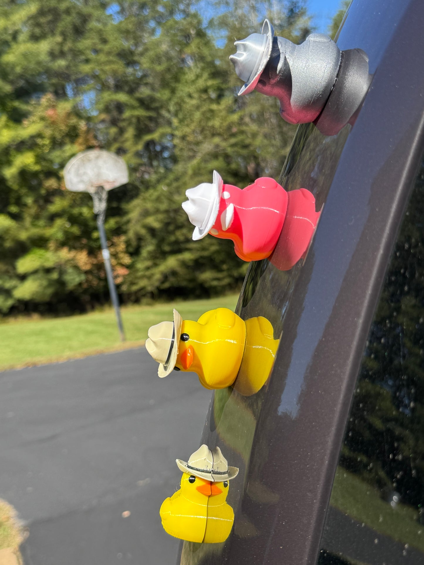 Quacknetics Packs of Magnetic Ducks