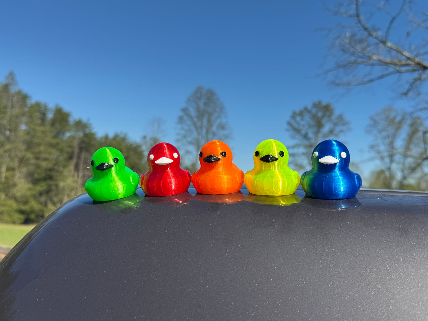 Quacknetics Packs of Magnetic Ducks