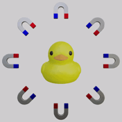 Magnetic Football Duck - Quacknetics
