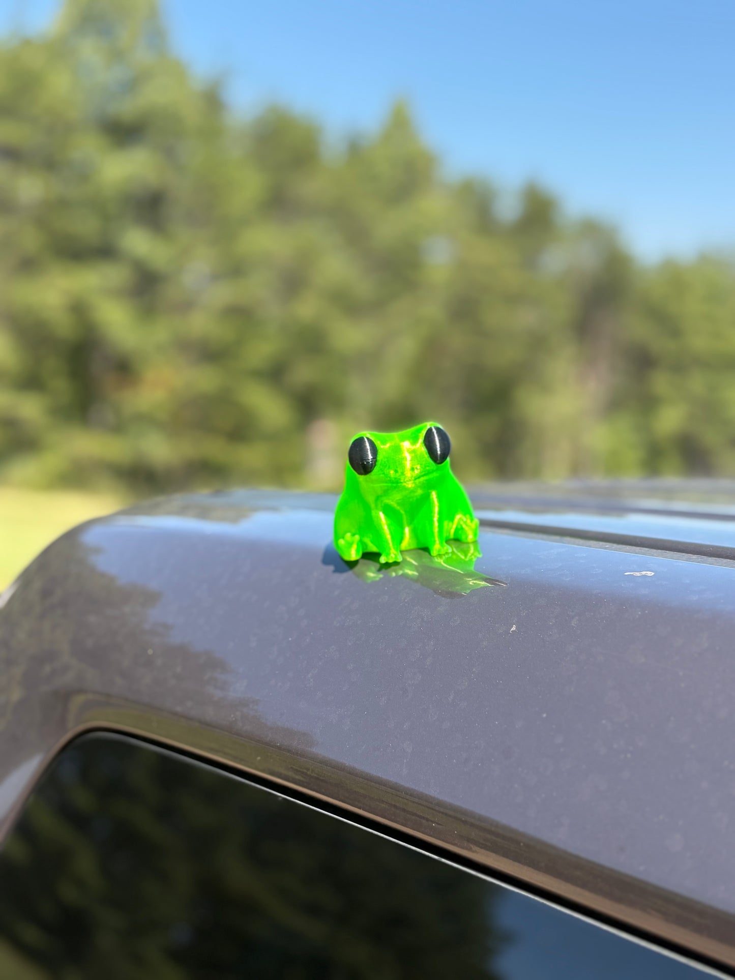 Just a Big dude frog magnet