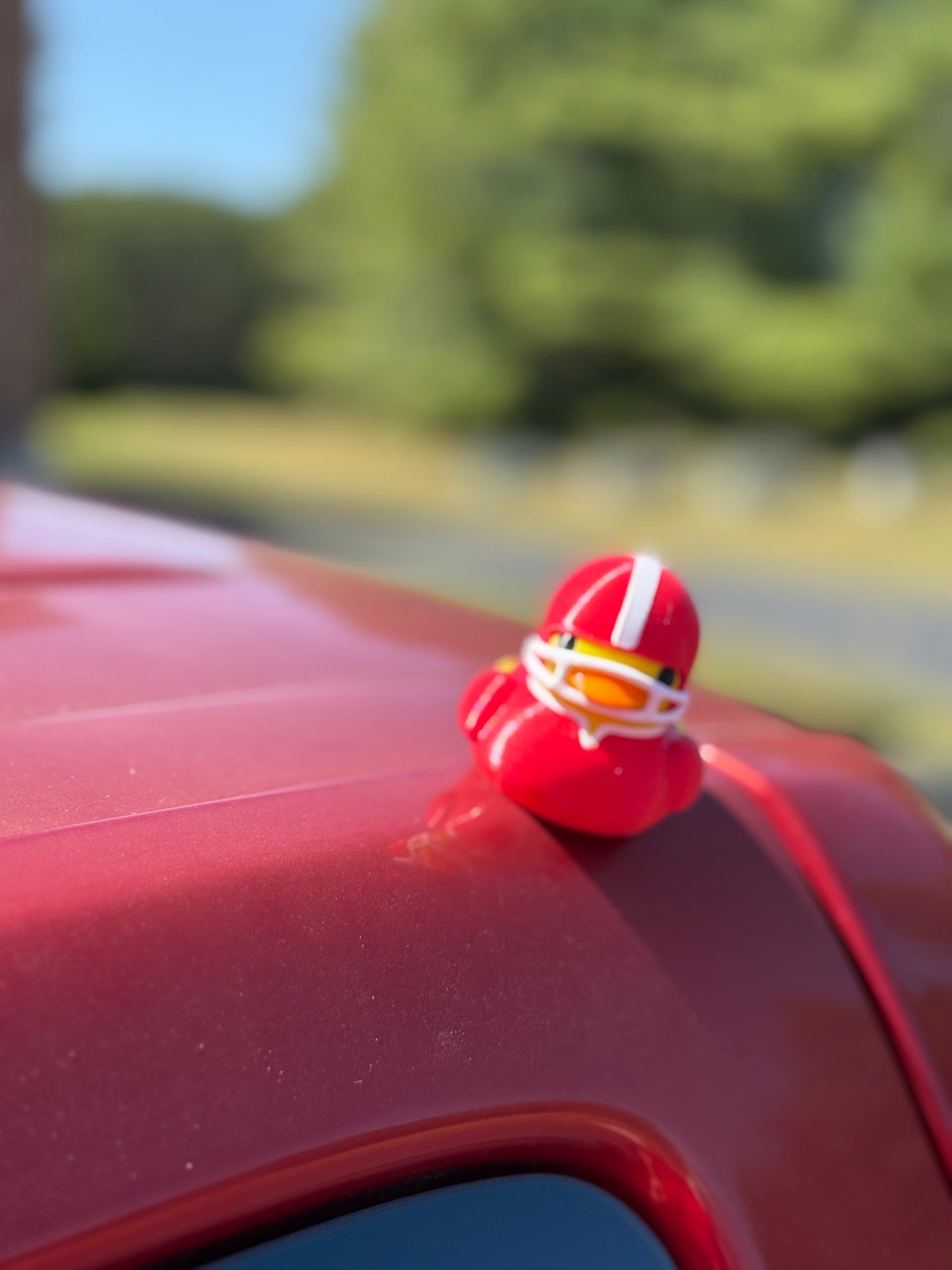 Magnetic Football Duck - Quacknetics