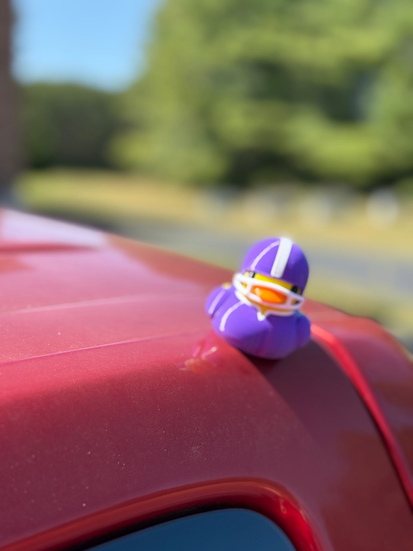 Magnetic Football Duck - Quacknetics