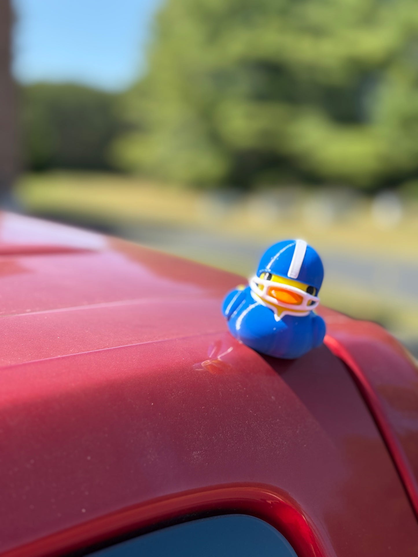 Magnetic Football Duck - Quacknetics