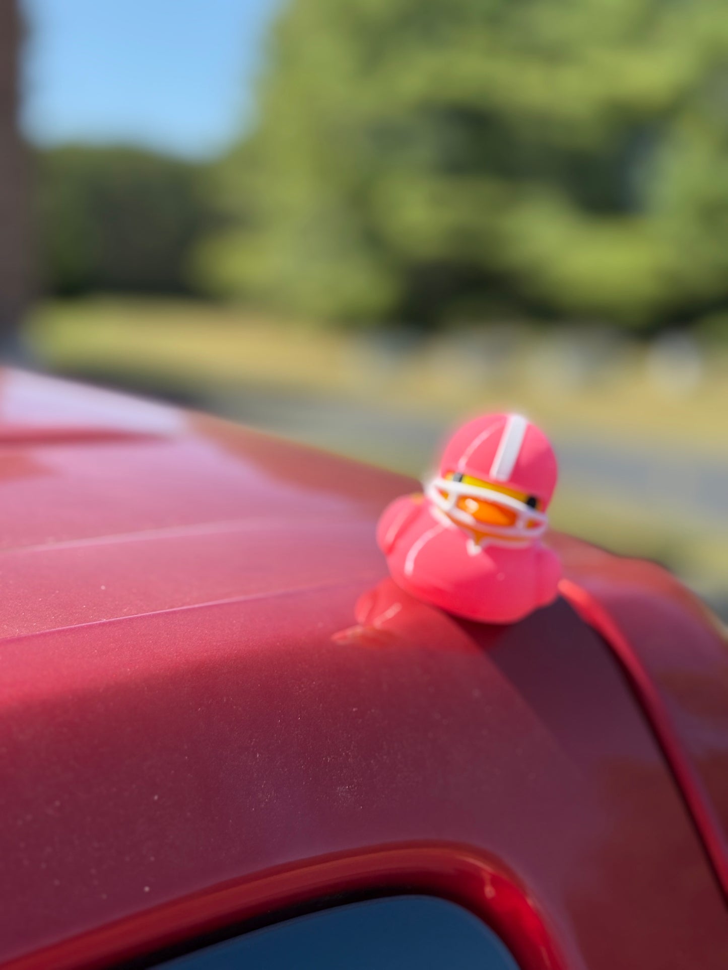 Magnetic Football Duck - Quacknetics