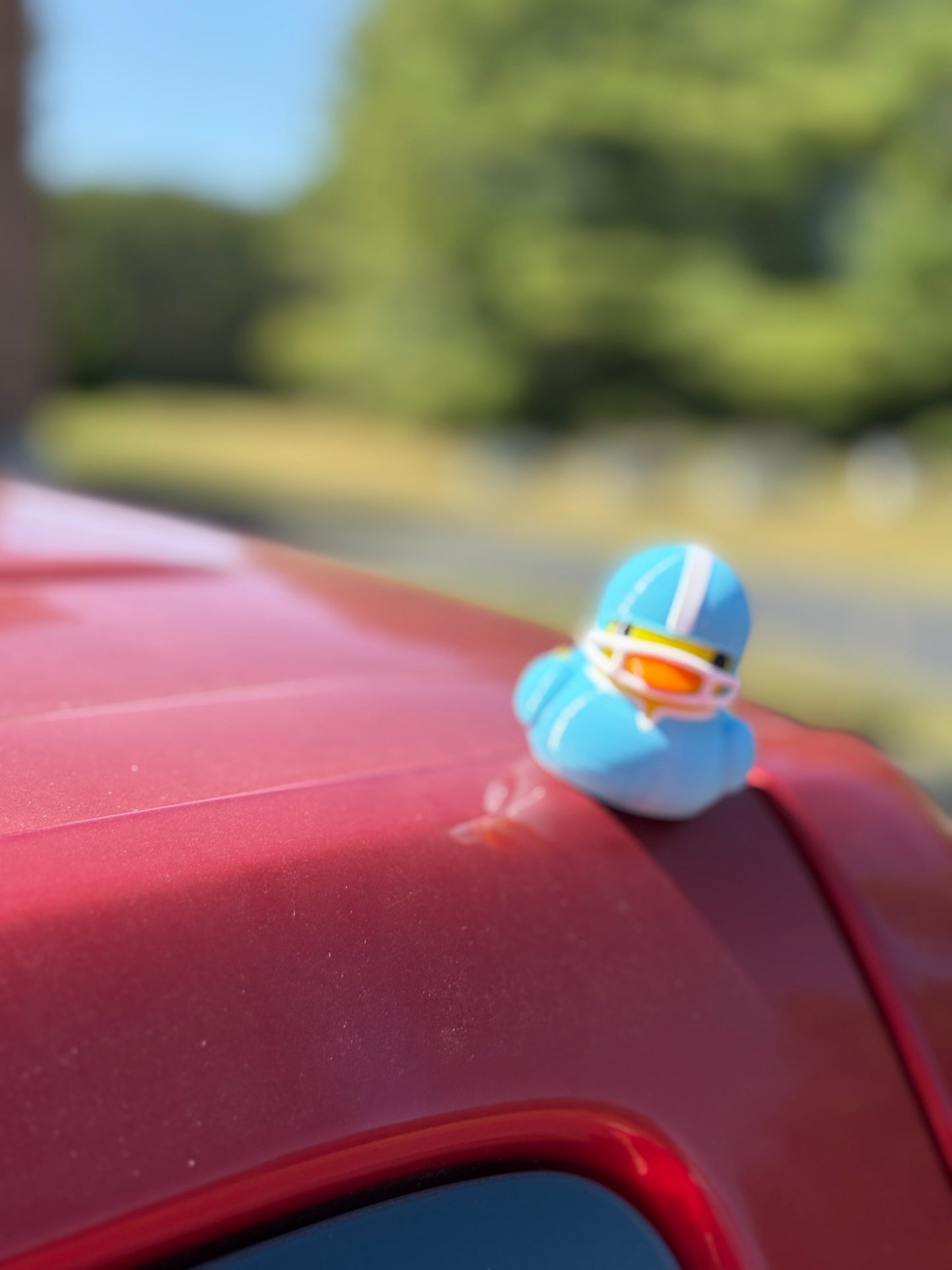 Magnetic Football Duck - Quacknetics