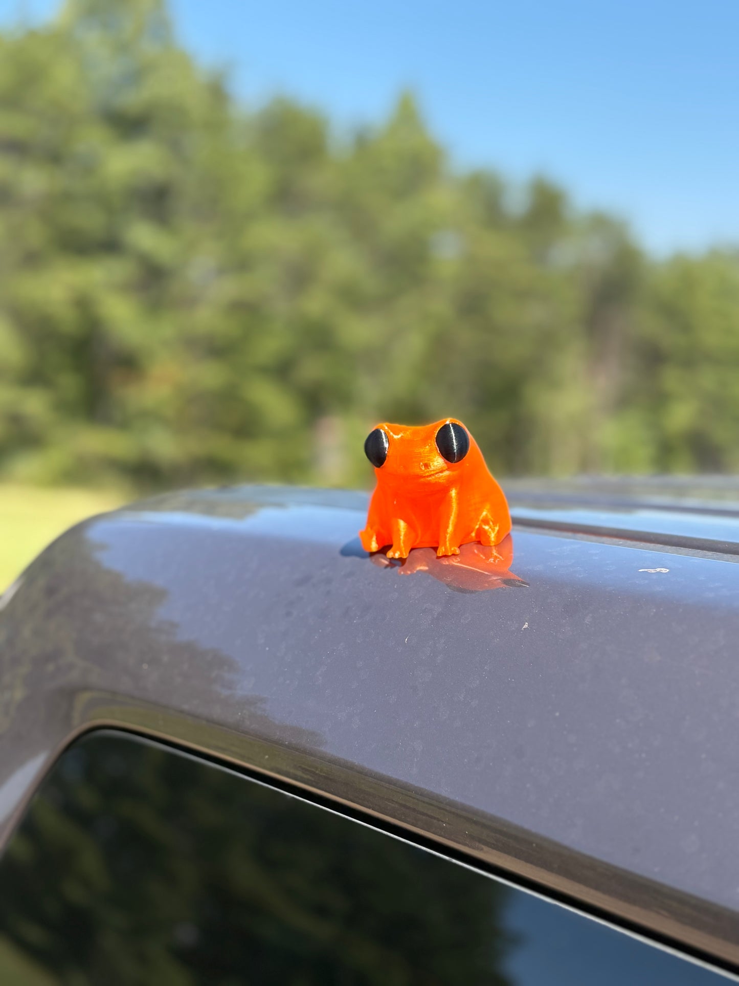 Just a Big dude frog magnet