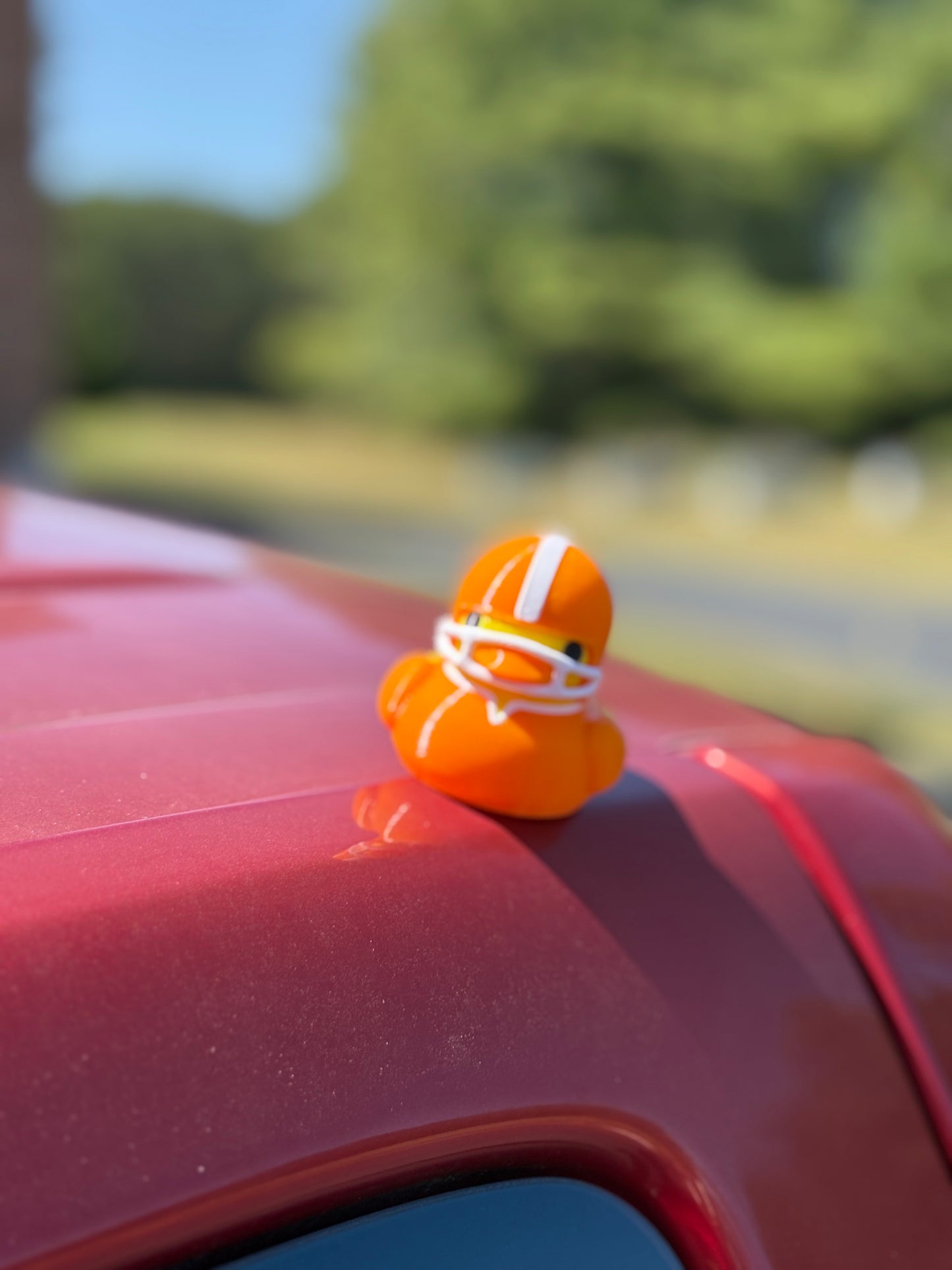 Magnetic Football Duck - Quacknetics