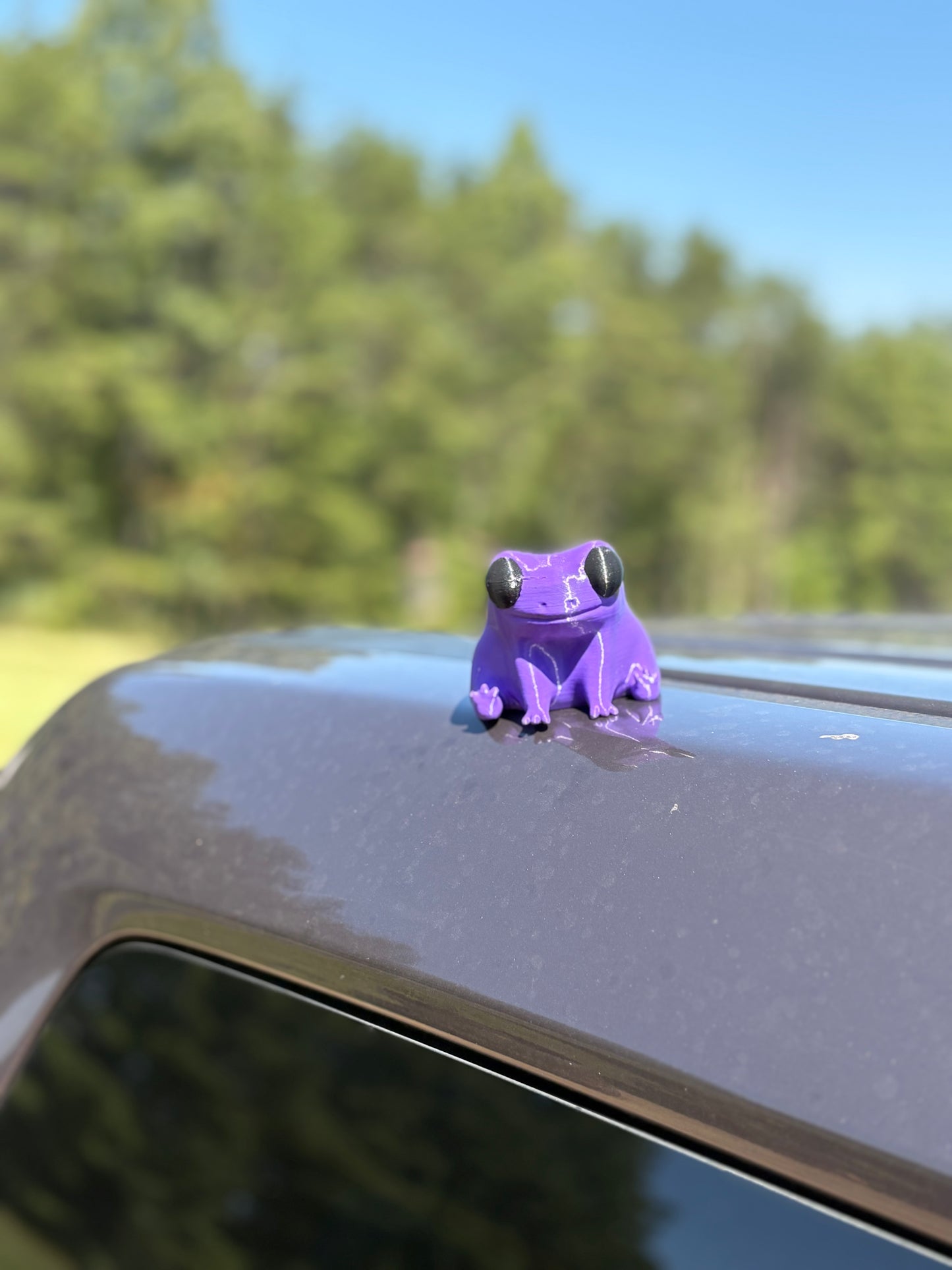 Just a Big dude frog magnet