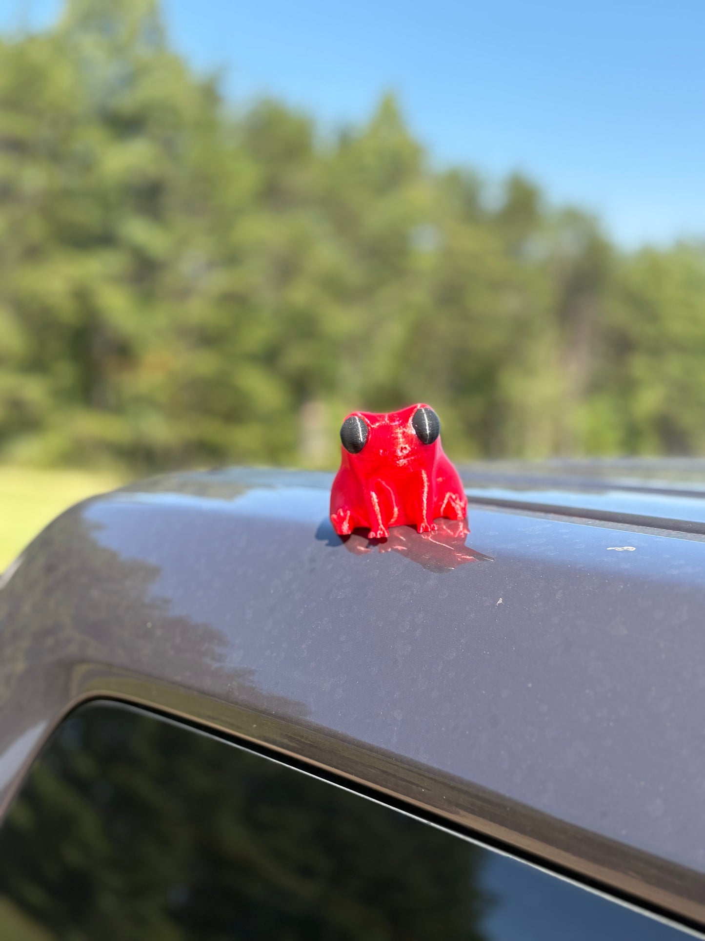 Just a Big dude frog magnet