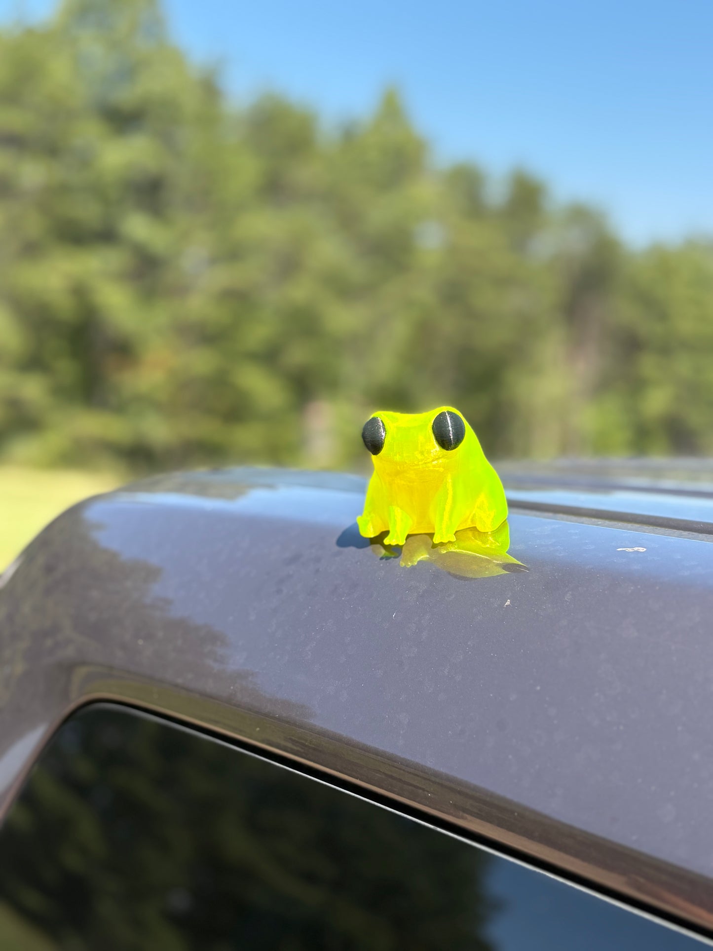Just a Big dude frog magnet