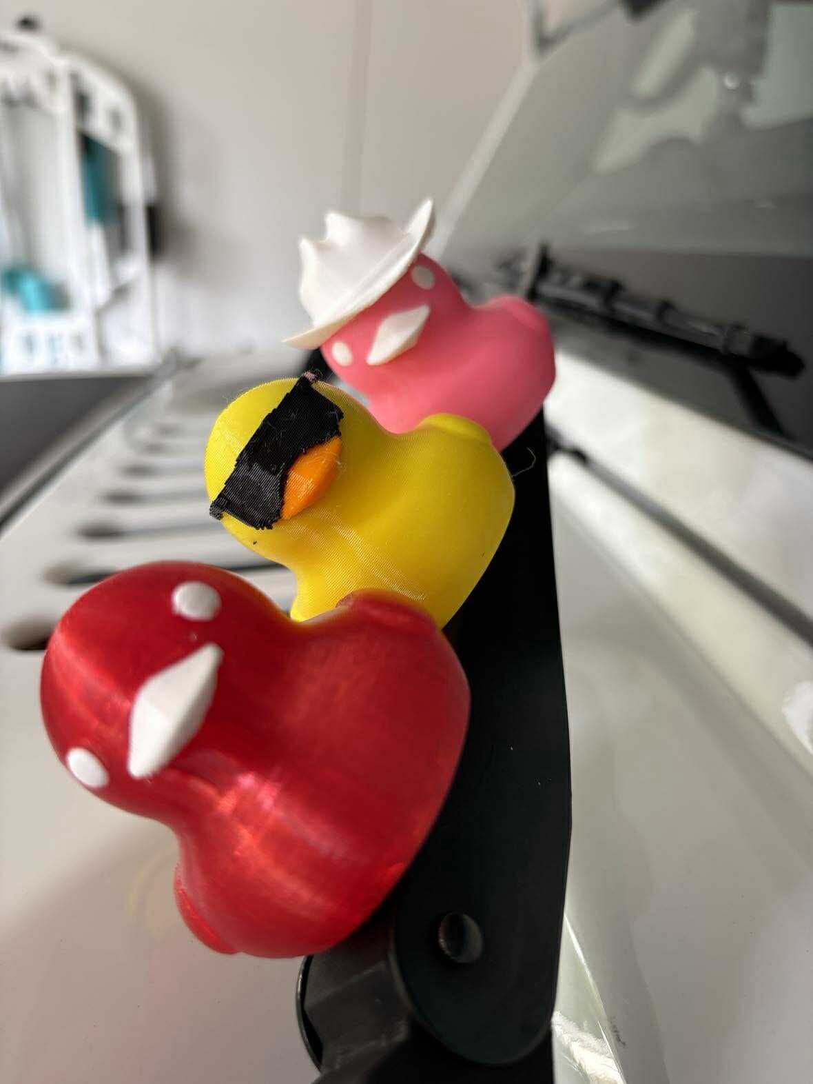 DUCKSCRIPTION
