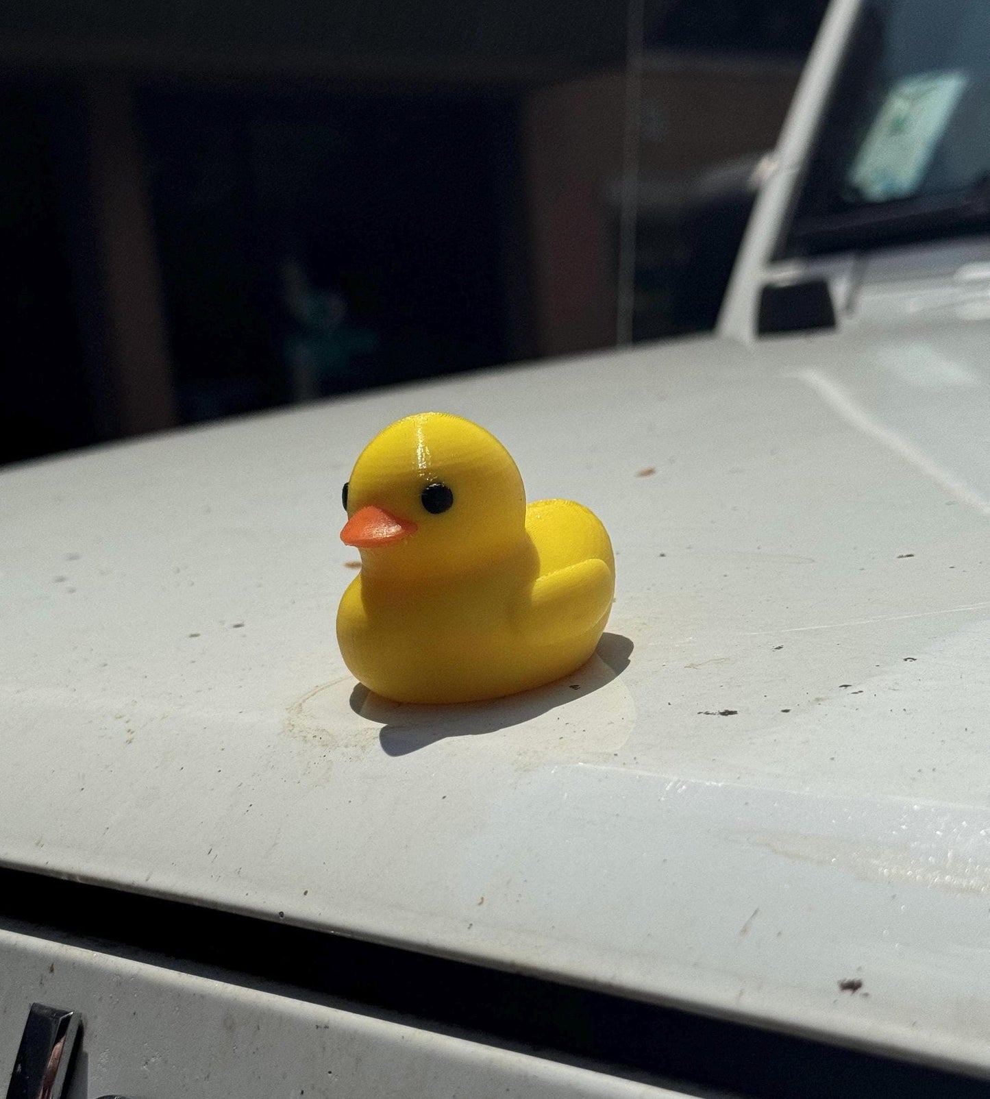 Magnetic Duck - Quacknetics