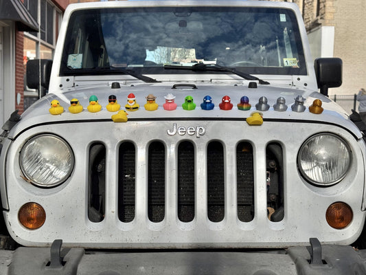 Quacknetics Packs of Magnetic Ducks